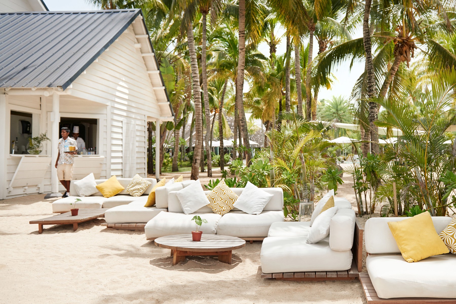 The Ravenala Attitude